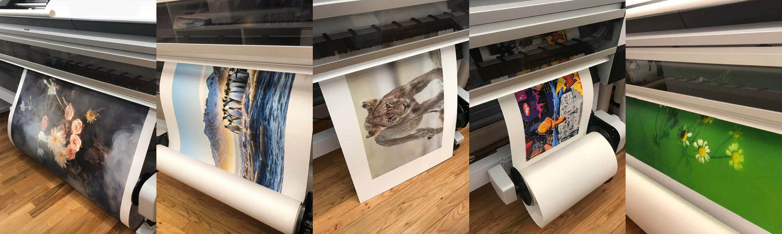 collage of large prints
